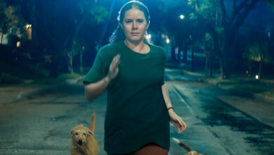 Nightbitch con Amy Adams su Disney+