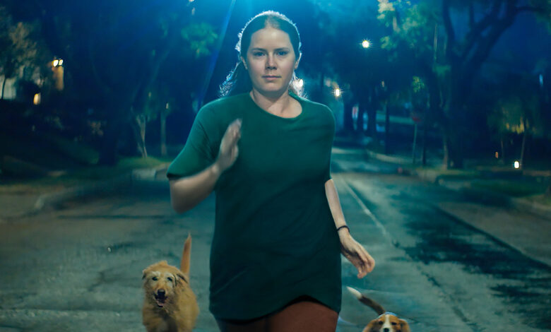 Nightbitch con Amy Adams su Disney+