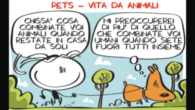 La Vignetta di Pets - Vita da Animali - Un film in 3 secondi