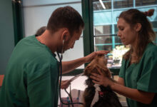 inaugurato primo ambulatorio di veterinaria sociale