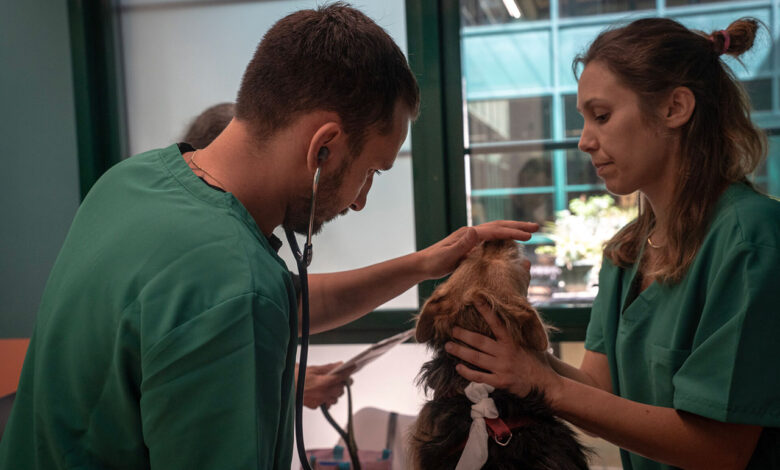 inaugurato primo ambulatorio di veterinaria sociale