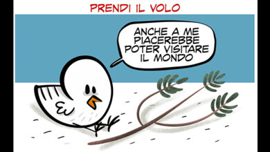 La vignetta di Prendi il volo - Un film in 3 secondi